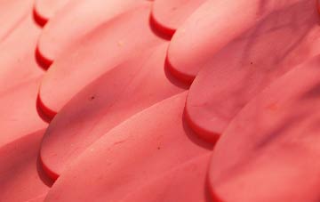 Ballyclare plastic roof costs