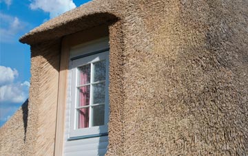Ballyclare thatch roof disadvantages